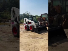 बनबिलाव S300